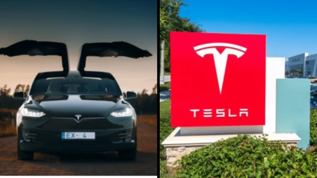 Is Tesla stock expected to go up?